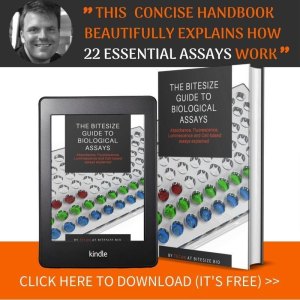 bitesizebio nick content